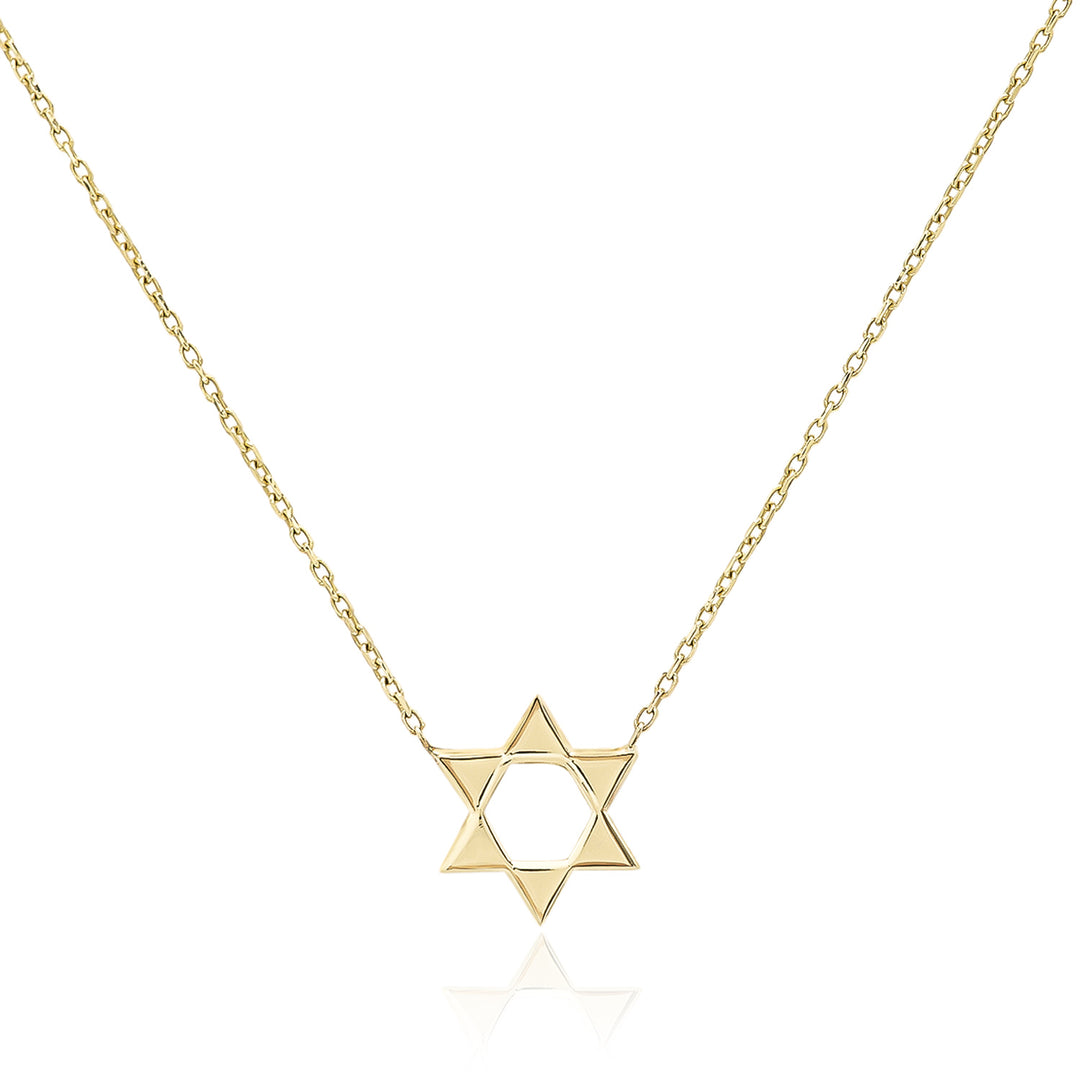 Two Sided Magen David Necklace