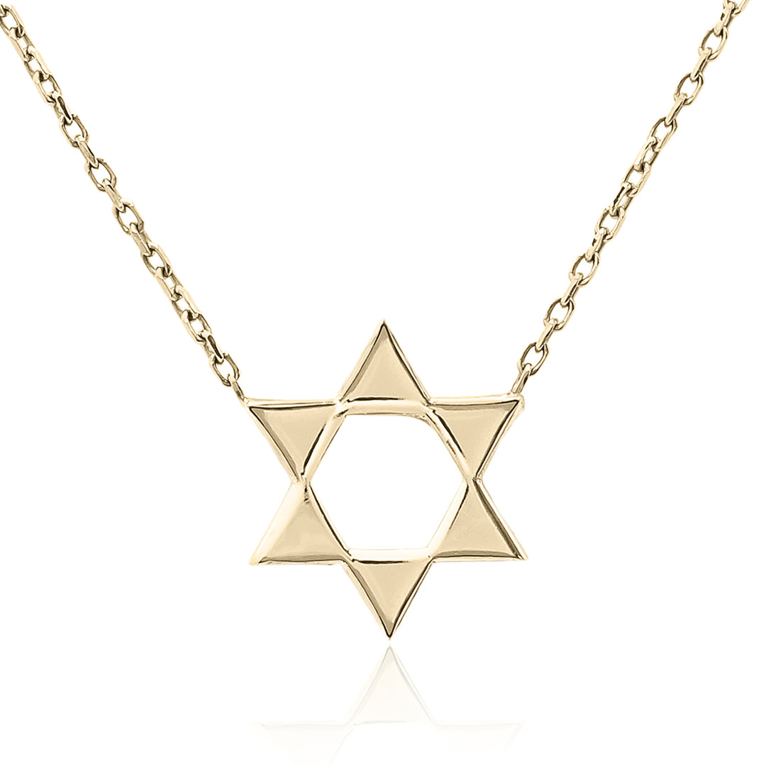 Two Sided Magen David Necklace