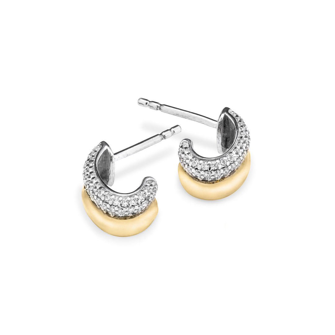 Two-Tone Oval Earring