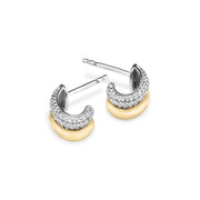 Two-Tone Oval Earring